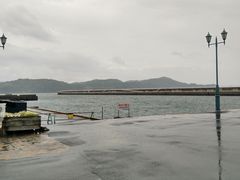 -黑潮市场