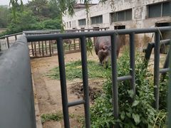 -保定市动物园