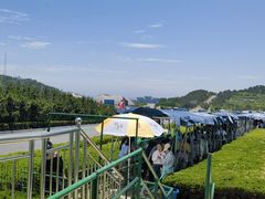 -摩天岭风景区