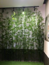 -盘子女人坊古装写真摄影(天津总店)