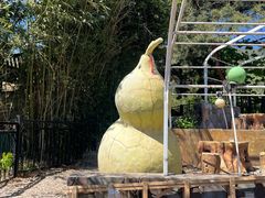 -丽泽山庄·生态怀柔菜·虹鳟鱼(红螺寺店)