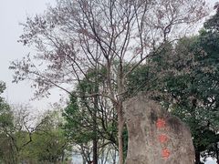 -西湖外事游船(湖滨二公园外事游船码头)