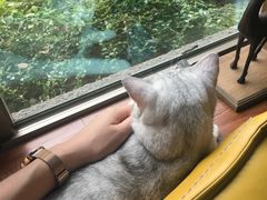 -咖法森林·咖啡  酒吧(天河店)