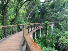 -深圳仙湖植物园