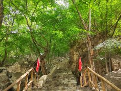 -北京上方山国家森林公园