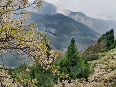 -舒家湾天主教堂