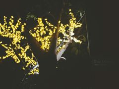 -THE PADDY FIELD田野西餐厅(禅城店)