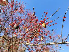 -沈阳市东陵公园