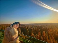 -黄海国家森林公园