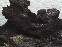 -龙头岩(Dragon Head Rock)