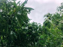 -公盂村