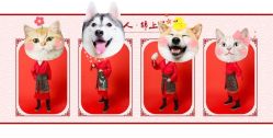 -倾城宝贝儿童摄影(浦东金谊店)
