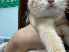 -半岛宠物医院24小时(科华中路店)