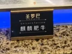 -圣罗巴海鲜烤肉自助(佳兆业店)