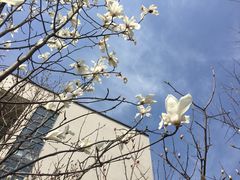 -江南大学(蠡湖校区)