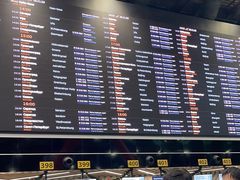 -谢列梅捷沃国际机场