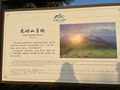 -大姆山草场