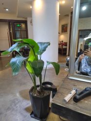 -MAGSTUDIO美格造型