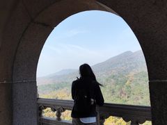 -灵谷景区