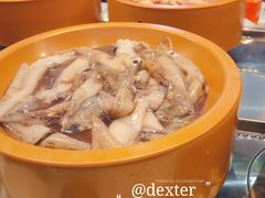 -龍歌自助小火锅(李沧丽达店)