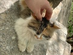 -天津盘山风景名胜区