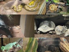 -杭州野生动物世界