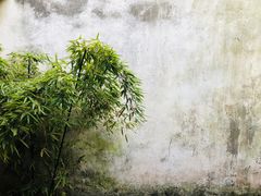 景点-西塘古镇-倪宅