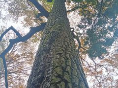 -丹山赤水风景名胜区