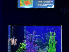-左海海底世界