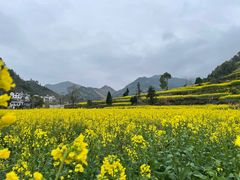-新安江山水画廊风景区