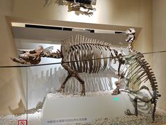 -国家自然博物馆