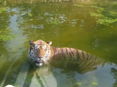 -西安秦岭野生动物园