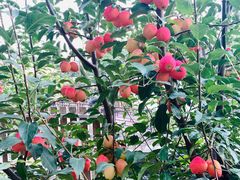 -北镇龙岗子生态园