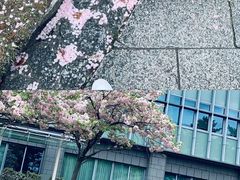 -奈良公园
