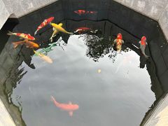 -西安市广仁寺