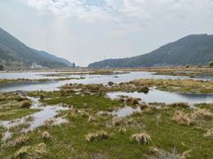 -腾冲北海湿地