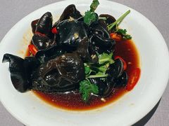 捞起黑岩木耳-大鸽饭(体育西路店)