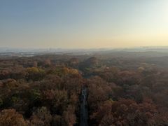-灵谷景区