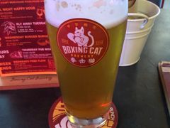 -Boxing Cat Brewery拳击猫精酿啤酒馆(永福店)