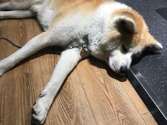 -YCHL Studios健身工作室(市二宫店)