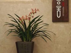 -美盛喜来登大酒店喜舍茶馆