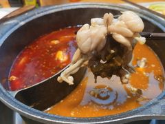 -佬缸炮江湖川菜(玉林店)