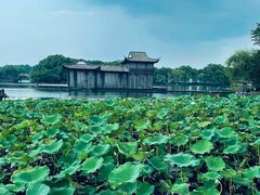 -杭州西子湖四季酒店·金沙厅