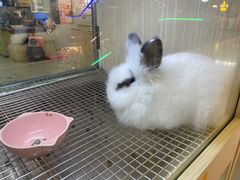 -光明广场