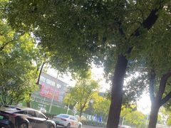 -楚太子  中餐&烧烤(武大店)