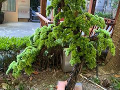 -中和·国风茶馆(愚园路店)