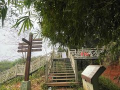 -南宁良凤江国家森林公园