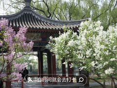 -颐和园