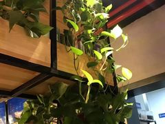 -管氏翅吧(人民大学店)