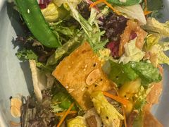 -bluefrog蓝蛙(水游城店)